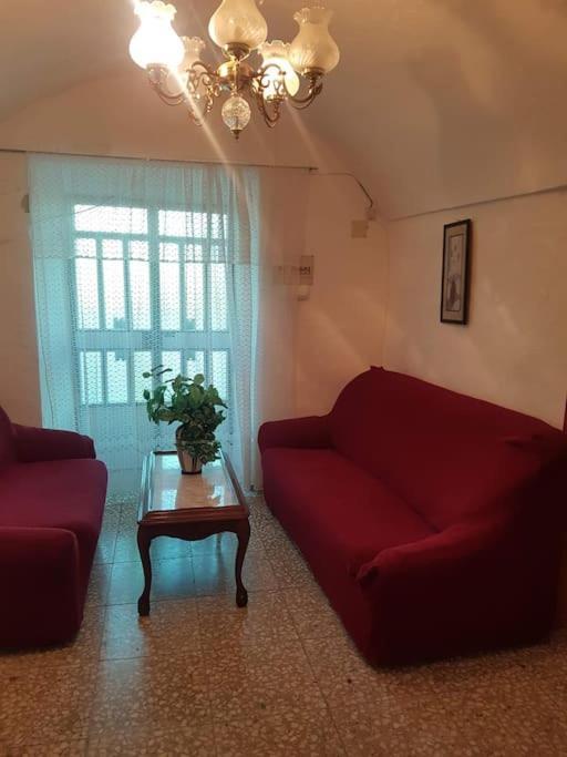 Apartament Cueva Maite Cortes de Baza Zewnętrze zdjęcie